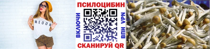 KRAKEN ТОР  Старая Русса  Галлюциногенные грибы GOLDEN TEACHER 